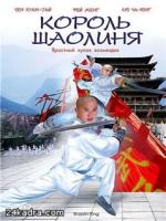 Постер к фильму Король Шаолиня / Shaolin King (2007)