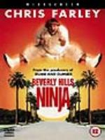 Постер к фильму Нинзя из Беверли Хилз / Beverly Hills Ninja (1997)